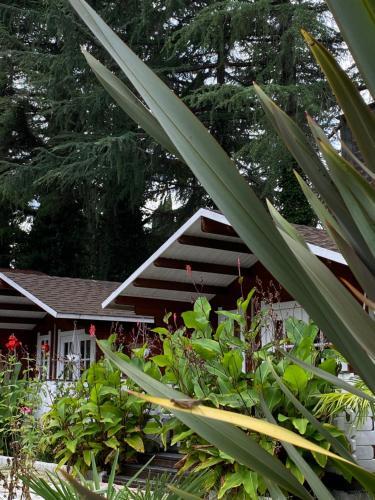Ecohouse