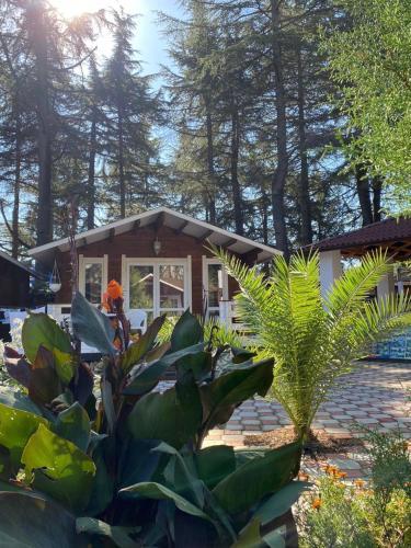 Ecohouse