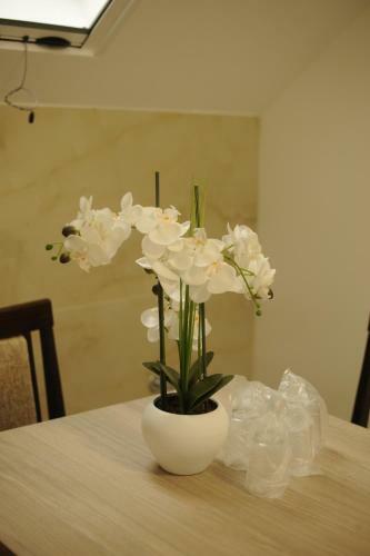 Albergue Sobe_mis