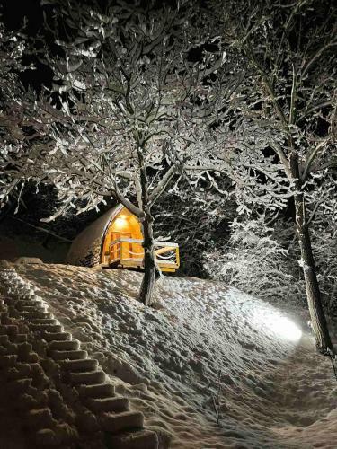 Apartamento Glamping Jezero