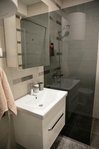 Great Park Apartment