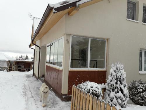 Villa Pensiunea Azilut