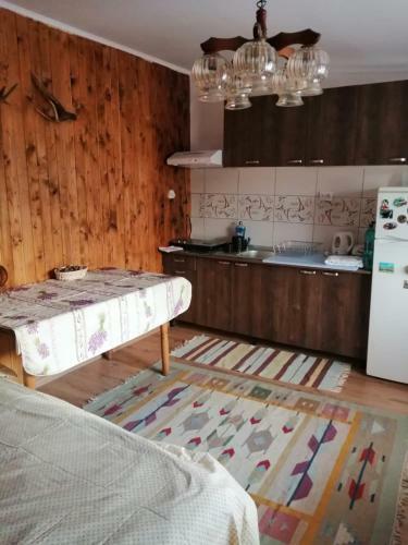 Villa Pensiunea Azilut