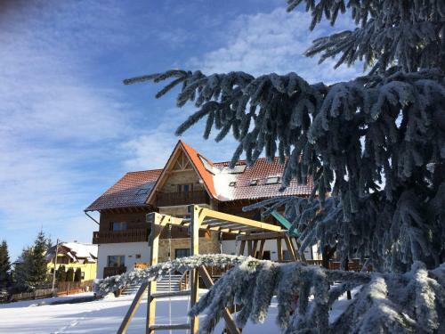 Hostal Pensiunea Colt De Rai