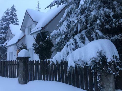 Villa Vila Cetina