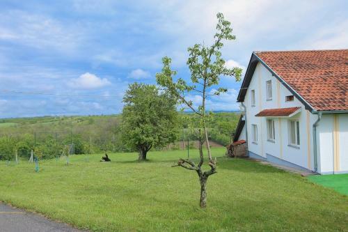 Villa Teo-sport