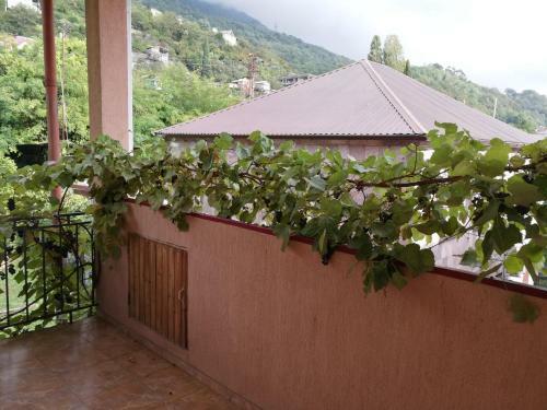 Hostal Guest House Villa Roza