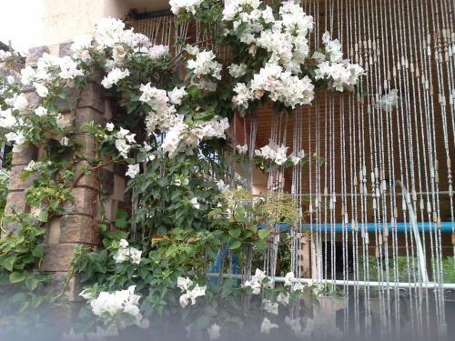 Hostal Guest House Villa Roza
