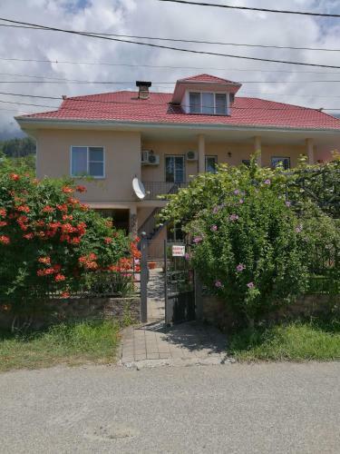Hostal Guest House Villa Roza