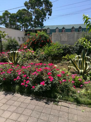 Hostal Guest House Villa Roza