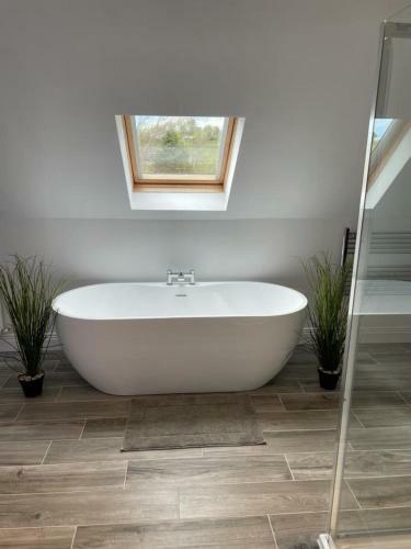 Captivating 1-bed Apartment In Cloyne