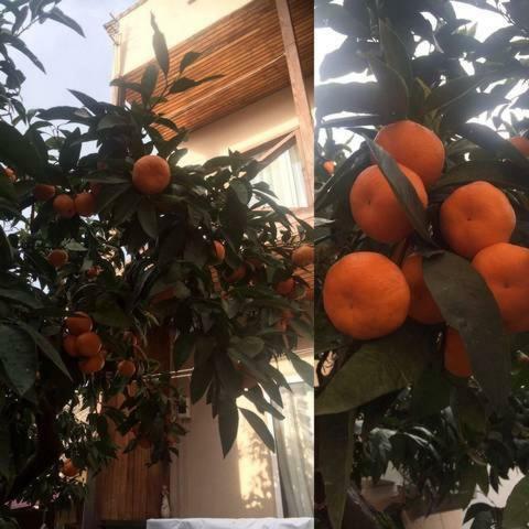 Hostal Gostevoy Dom Samir