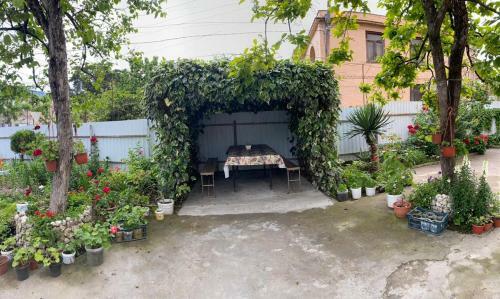 Hostal Guest House Olginka