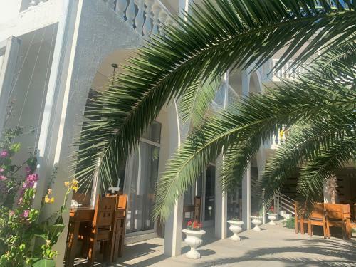 Hostal Casamia Felici