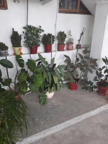 Apartamento ???????? ??? ??????
