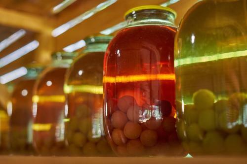 Posada Gnezdo Beloy Sovy Mini Hotel