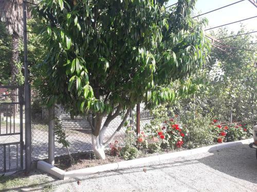 Monika Guesthouse