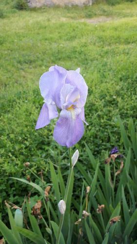 Hostal Guest House On Ardzinba 215