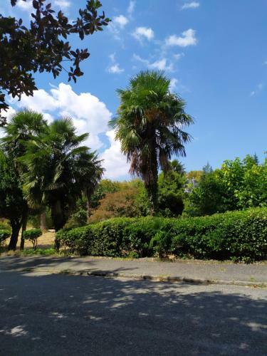 Amra Apartment