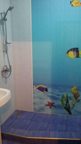 Hostal Guest House Polet Chayki
