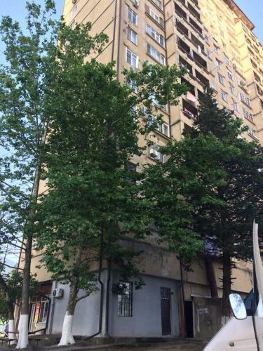 Apartment In Gagra