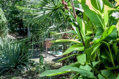 Hostal Rusamra Guest House