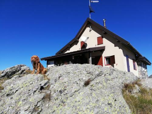 Chalet Il Fungo