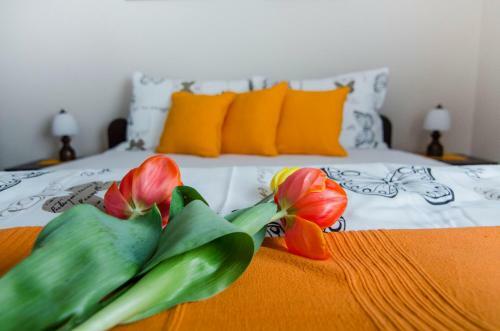 Apartamentos Villa Rose