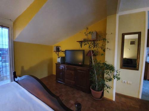 Natura Apartment