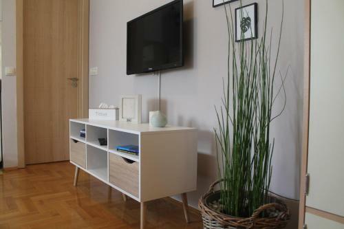 Apartment Cerska Mrb