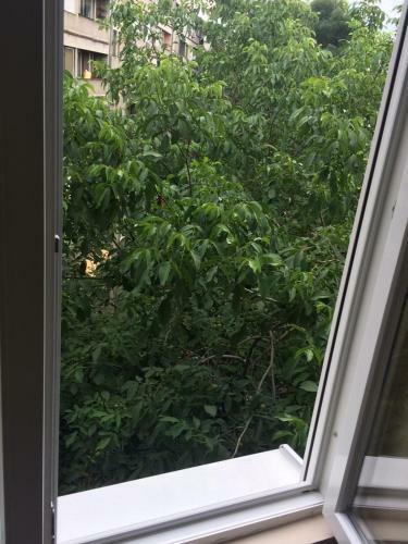Apartamento H&m Lux Appartment Downtown New