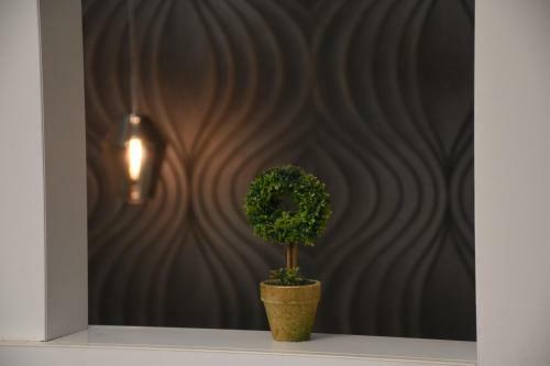Apartamento Royal Park