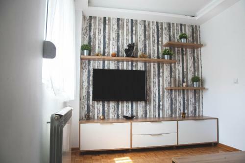 Apartment Nikola Tesla