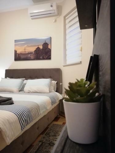 Apartamentos Dakota