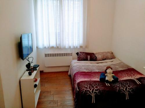 Belvedere City Center Apartment