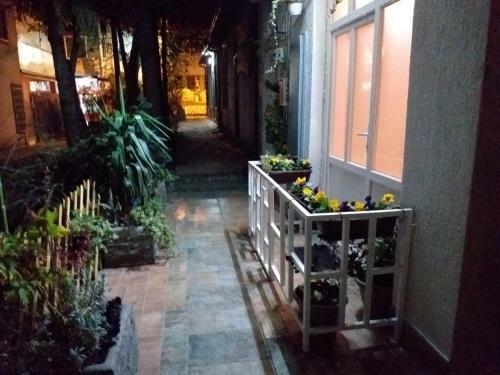 Apartman Fenix
