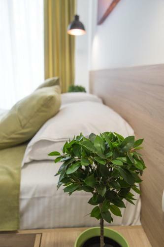 Hostal Empire Luxury Apartments