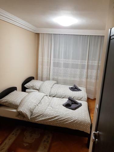 Apartment Strava