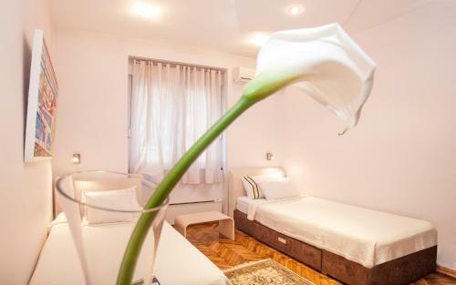 Apartamento Piano Cube