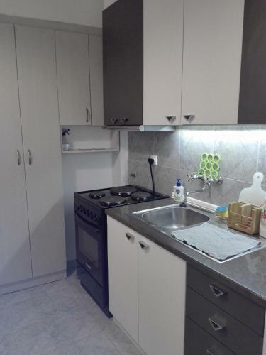Apartment Pariska