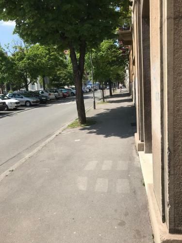 Apartment Lea Lux