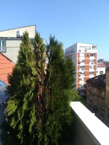 Apartman Klara, Maksima Gorkog 6, Beograd