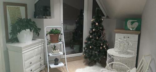 Apartman Klara, Maksima Gorkog 6, Beograd
