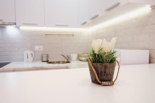 Apartment Hana Lux