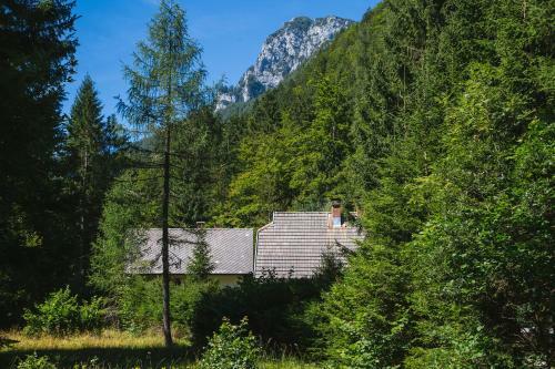 Po?itni?ka Hi?a Radovna