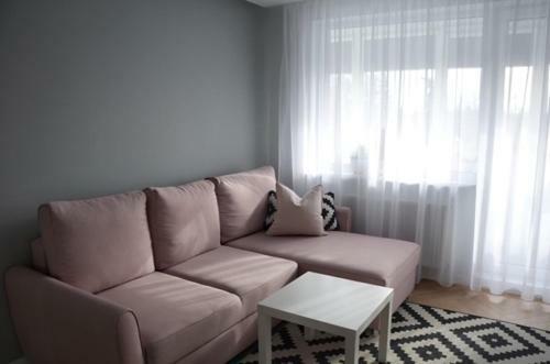 Vytautas Park Apartment