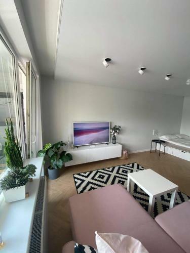 Vytautas Park Apartment