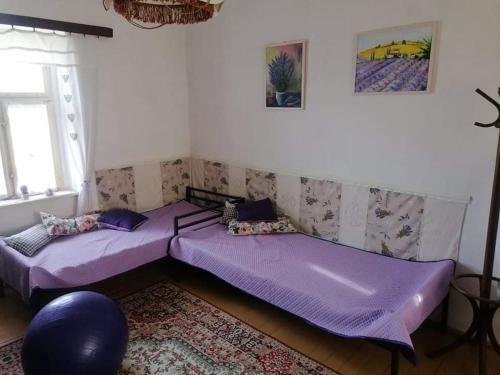 Rybn�k Biel- B�lyi Horg�szt� Apartman 3