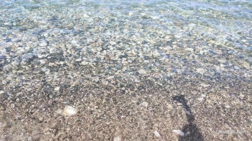 Sea Camp