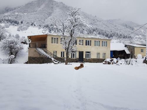 Hostal Babale's Guesthouse In Mestia